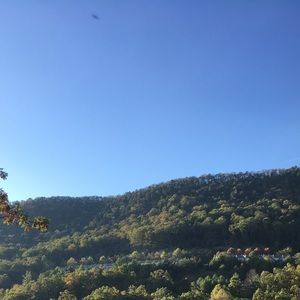 Meet your Posher, Carlton